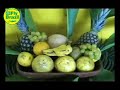 Hotel Pousada da Pipa **+ - Pipa - Brasil
