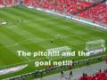 Bristol City and Hull City at Wembley