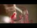 Nigella Lawson's Raspberry Oatmeal Swirls