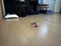 ???????????? \"miniBee\"  ( Infrared Remote Control Mini Helicopter )
