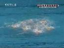 USA Team Free Routine at 2007 World Championship