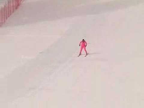 RE/MAX FIS World Cup of Speed Skiing