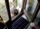 minou minou ta soif