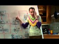 TBBT-Der Freundschafts Algorithmus
