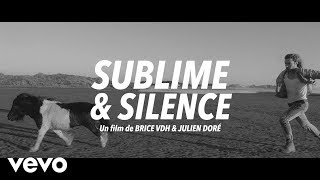 Nos poneys d'écopâturage pour le Clip de Julien Doré : Sublime et Silence !
