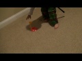 My little brothers got talent: Playin golf