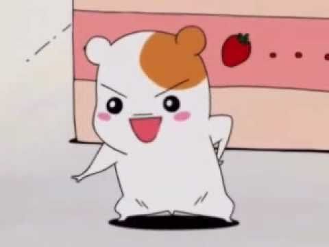 動画