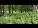 Missisquoi National Wildlife Refuge