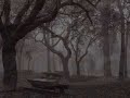 cidade dos anjos...musica