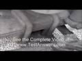 CDL Pre-Trip Inspection Video High Quality
