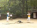 Hojdačka v Južnej Korei