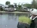 videos de Yo Mike Bloomberg Please Save the Jamaica Bay Wildlife Refuge Now.wmv