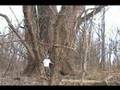 Monster-Ohio-Cottowo