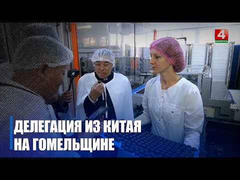 Делегация из Китайской Народной Республики прибыла на Гомельщину видео