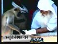 Param Dayal baba Jai gurudev Param Dayal baba Jai gurudev