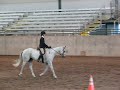 2008 WA State Siliver Medalist ~ 4-H Hunt Seat Equitation
