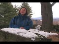 Interview with a Hemlock Wooly Adelgid Interview with a Hemlock Wooly Adelgid