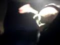 Difekt Tancor Difekt Tancor