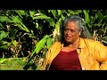 Face of America: Hawai'i | Pualani Kanaka'ole Kanahele Face of America: Hawai'i | Pualani Kanaka'ole Kanahele