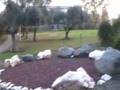 Kibbutz Yizreel, Emek Yizreel, Israel