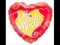 TU MI GRAN AMOR JOEL MERAZ PUENTE TU MI GRAN AMOR JOEL MERAZ PUENTE