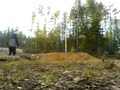 Bomb in sweden