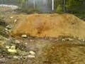 Bomb in sweden