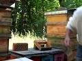 Füllen der Einwabenkästchen (EWK) Füllen der Einwabenkästchen (EWK)