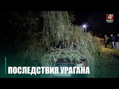 Погода в Гомеле не очень. Шквалистый ветер на Гомельщине наносит ущерб инфраструктуре и жителям региона видео