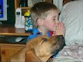 In Heaven there Ain't No Dogs
