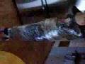 person in seran wrap dancing!!!!!!!!!