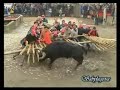 Raia 2007