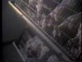 Earthlings - Earthlings - Joaquin Phoenix - Flixster Video