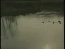 La Brague La Brague