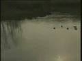 La Brague