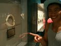 shark tour