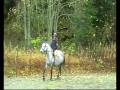 Riding Safira October 12th