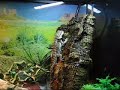 Beardy drinking from waterfall!!!