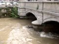 Guarda video