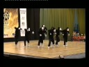 Championnat de france HipHop 2008 Senior par équipe