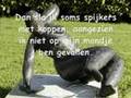 Spreekwoordelijk gezegd spreekwoorden by Twirretwarre
