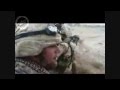 Canadian Forces, Show It