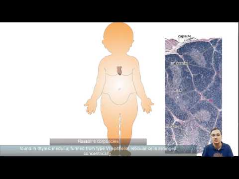 how to isolate yeast mutants