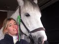 concours cheval