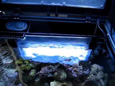 how to make a self sustaining saltwater aquarium