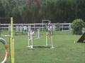 videos de Teamworks Training!!! 8/31/08