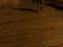 On the Boardwalk