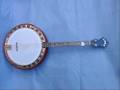 IRISH TUNE ON TENOR BANJO
