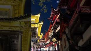 기본썸네일이미지