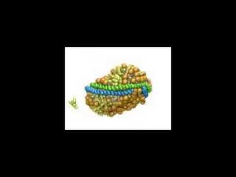 How Detergents Can Destroy Nanodiscs